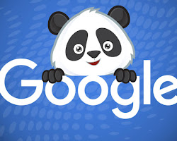 Panda Update Google Core Update